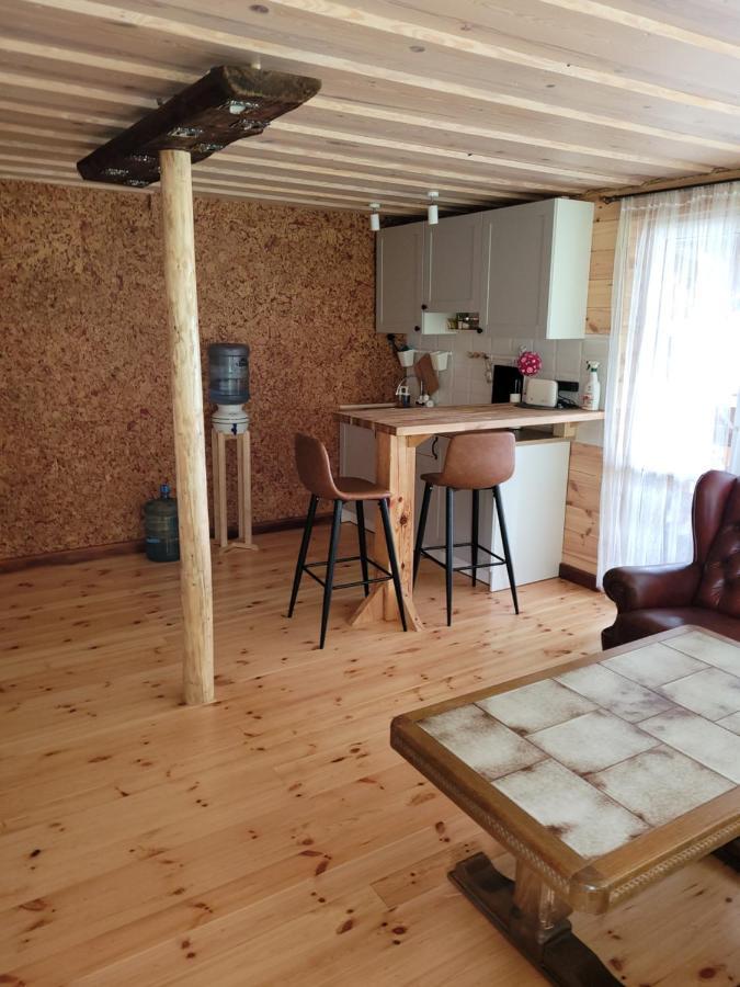 Krāslava Zariniヴィラ エクステリア 写真