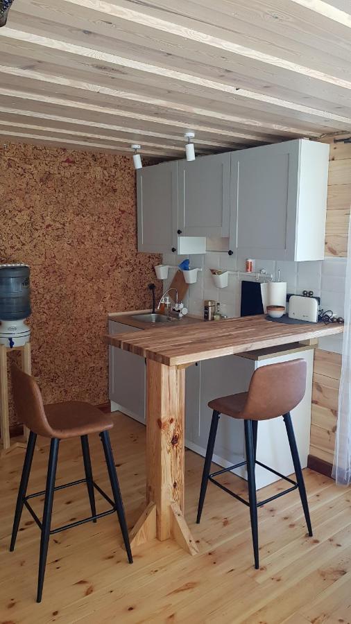 Krāslava Zariniヴィラ エクステリア 写真